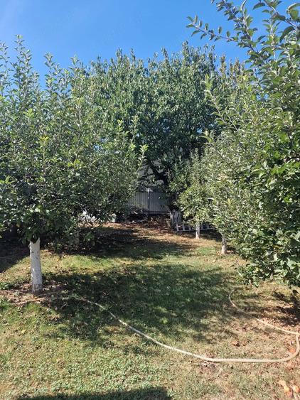 Casă cu Teren 600 Mp în Gherăiești