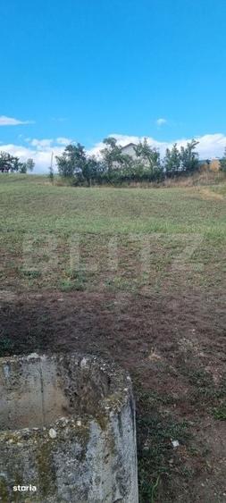 Casă cu 4 camere decomandat cu Teren 2580 Mp în Moldovenești