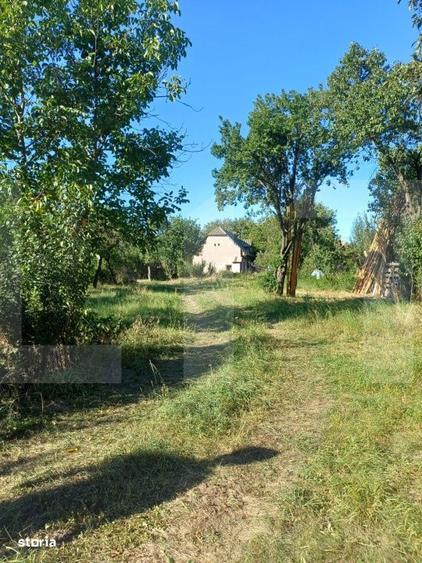 Casă cu 3 camere în Sânzieni