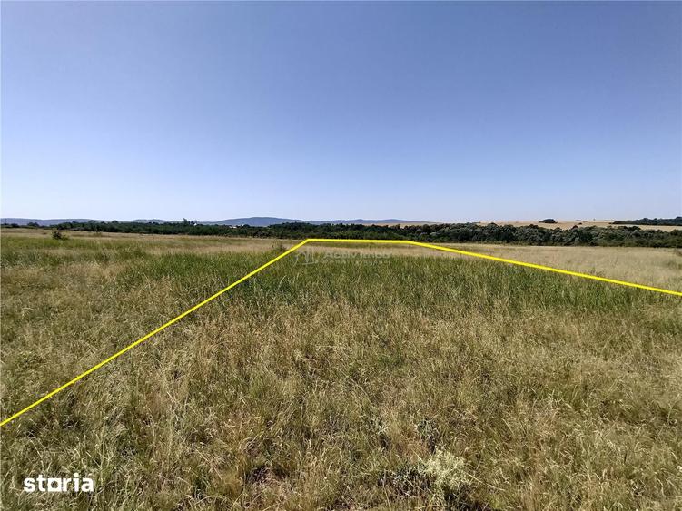 Teren de 14500 mp, în Cara