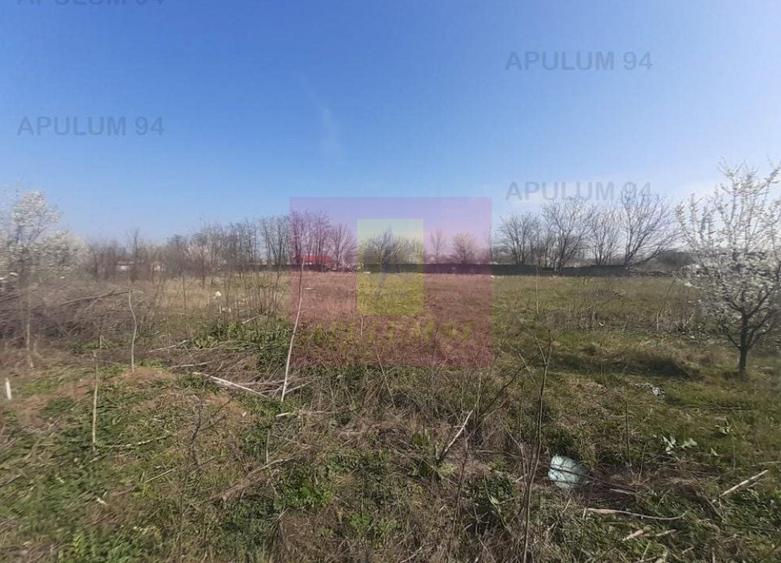 Teren Construcții intravilan de 4800 mp, în Glina