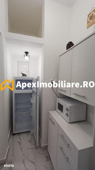 Apartament 2 camere de inchiriat Cismigiu Bucuresti | ApexImobiliare.r - 9