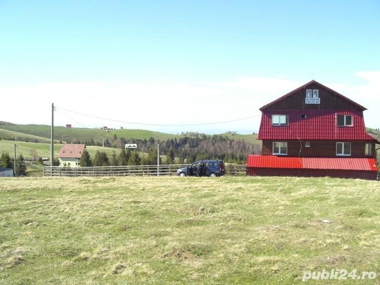 Teren de 10632 mp, în Paltin
