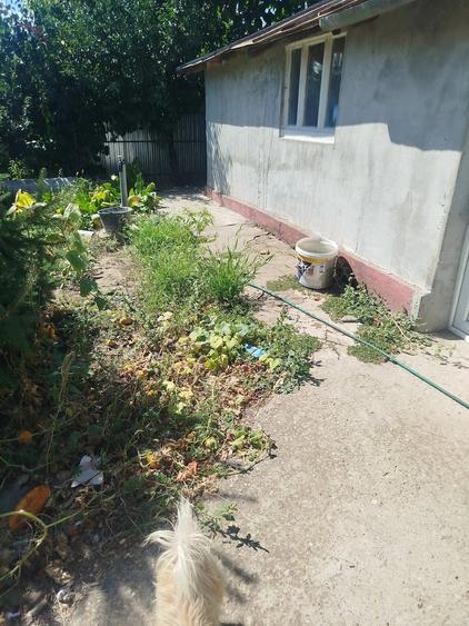 Casă cu Teren 1050 Mp în Gemenele