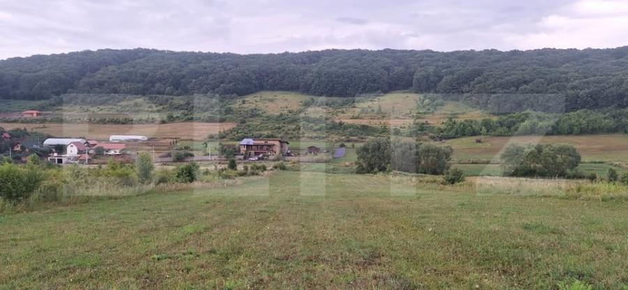 Teren intravilan de vanzare in Bozeni 1.500 m2 | Idea - 5