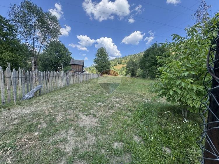 Teren Construcții intravilan de 2860 mp, în Borca