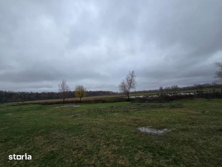 Teren de 100000 mp, în Albota