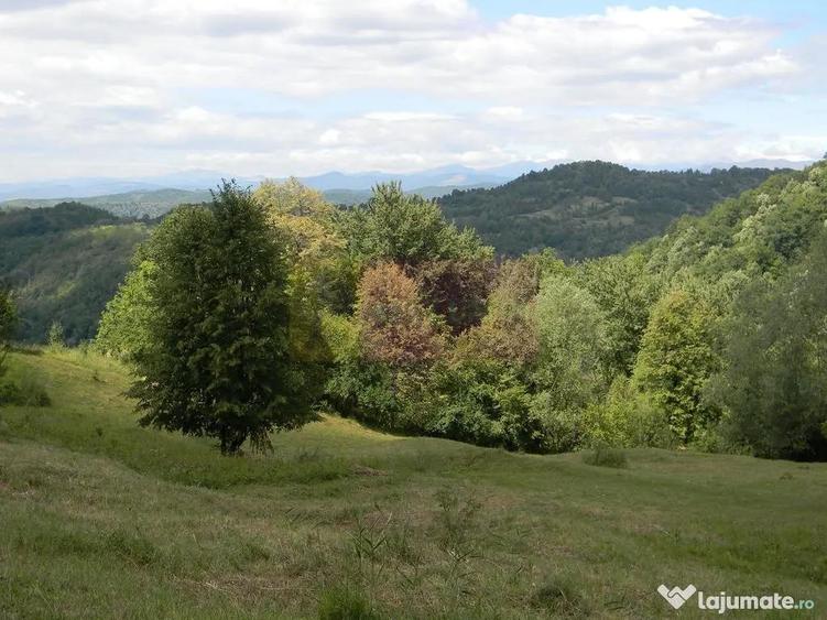 Teren de 3092 mp, în Telega