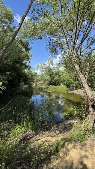 Teren de 17100 mp, în Halmeu