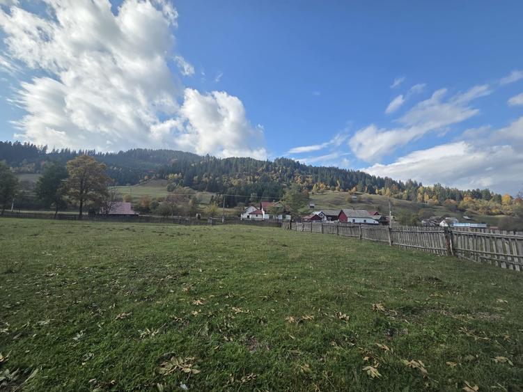 Teren de 2000 mp, în Stulpicani
