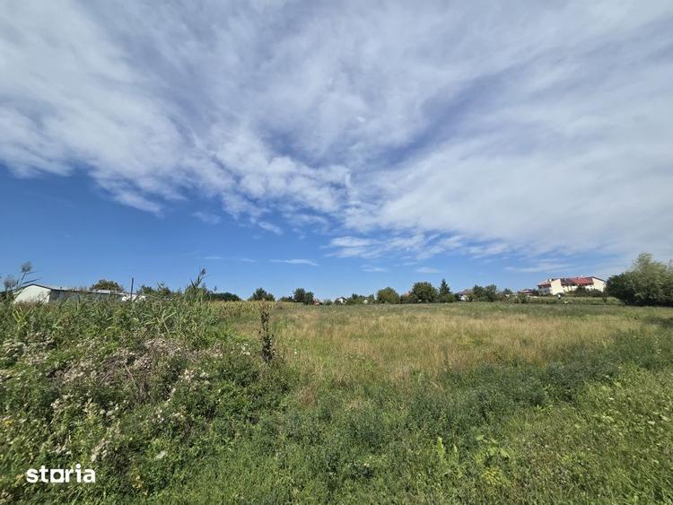 Teren de 4000 mp, în Traian