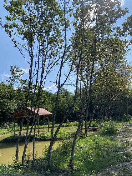 Teren de 2000 mp, în Vlădeni
