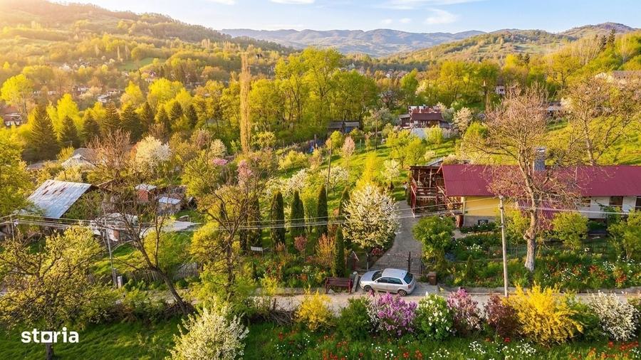 Spațiu comercial, în Coțofenești