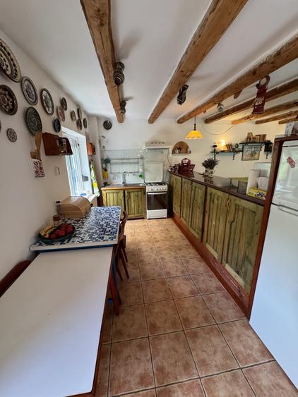 Casă individuală cu 4 camere cu Teren 3500 Mp în Lunca Gârtii