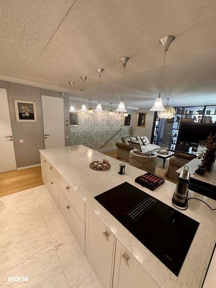 Duplex Exclusivist cu gradina privata si terasa,zona Charles de Gaulle - 16