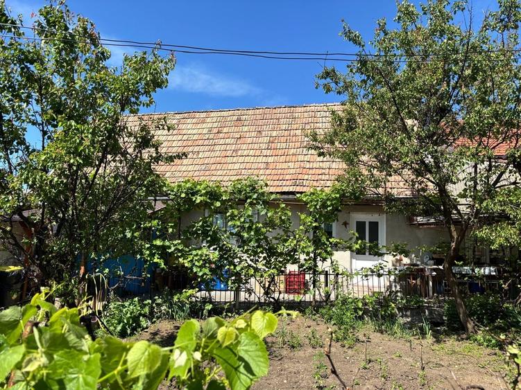 Casă cu 3 camere în Central