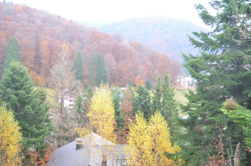 Teren de 1300 mp, în Valea Alba