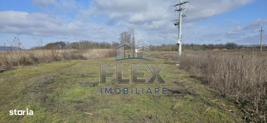 Teren de 38300 mp, în Valea Nucarilor