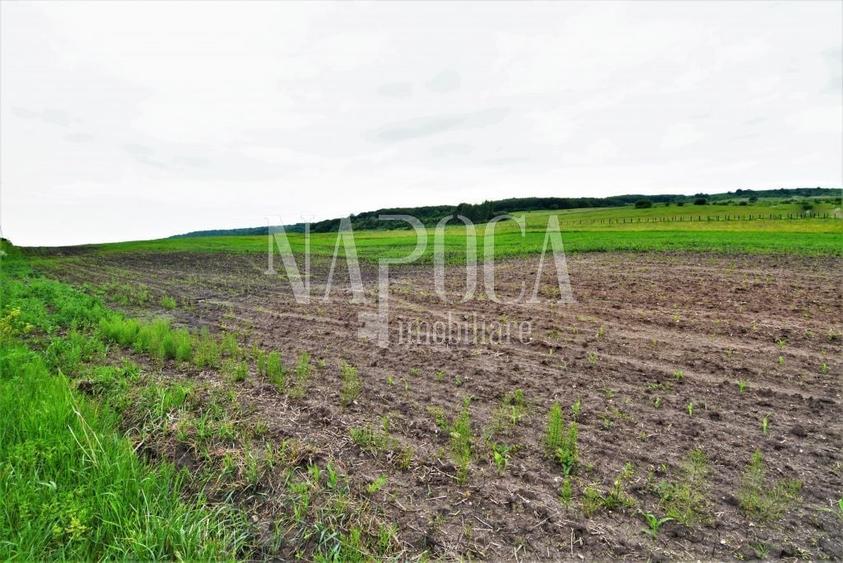 Teren Construcții extravilan de 5800 mp, în Popești