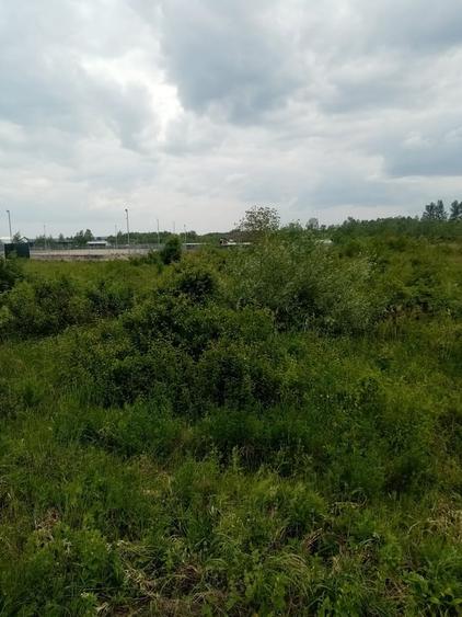 Teren Construcții intravilan de 3356 mp, în Răzvad