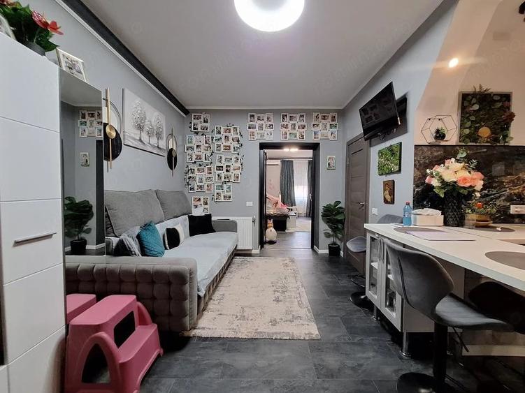Apartament cu 2 camere semidecomandat în Take Ionescu