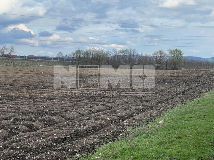 Teren Construcții extravilan de 4800 mp, în Exterior Vest