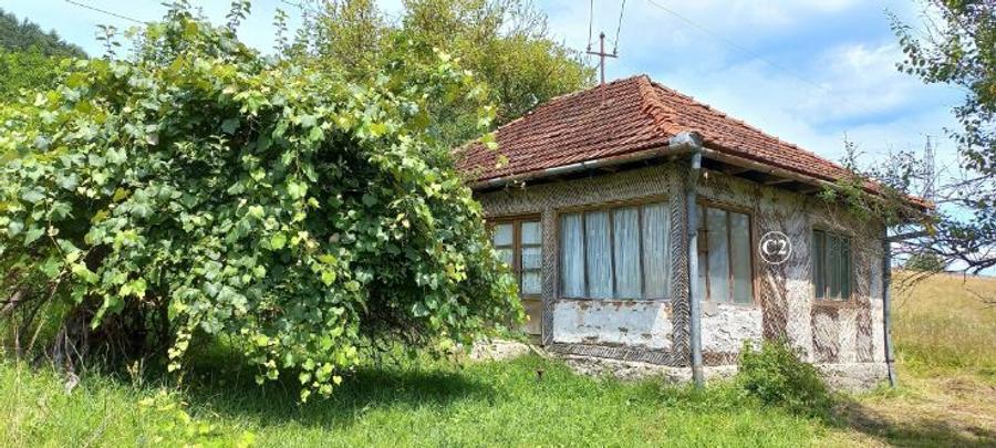 Teren agricol intravilan de 8644 mp, în Valea Bradului