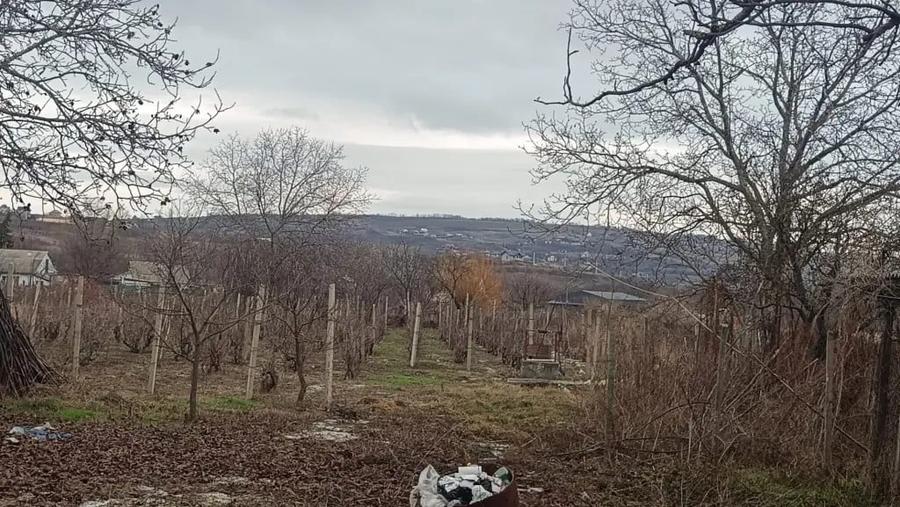 Teren de 68 mp, în Tomești