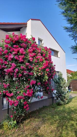 Duplex cu 4 camere cu Canalizare în Dumbrăvița