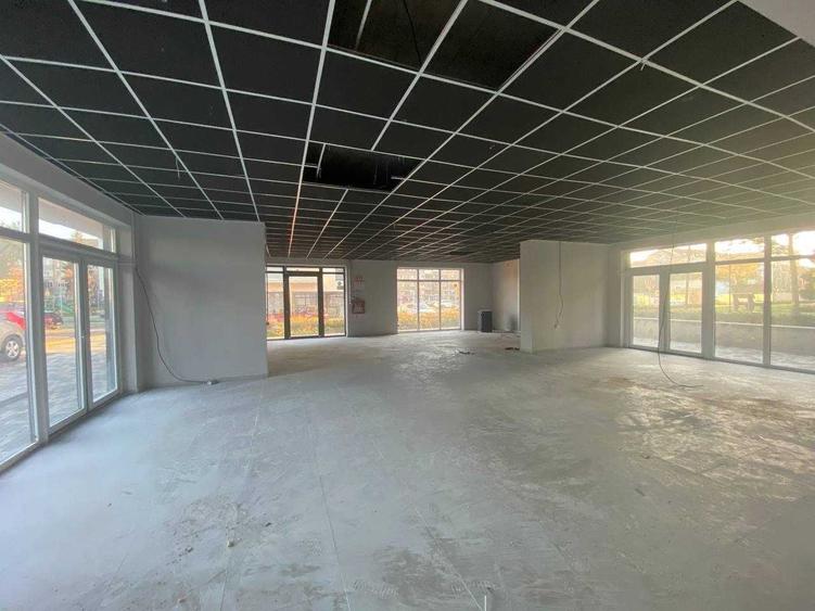 Spațiu comercial, de 230 mp, în Nufărul