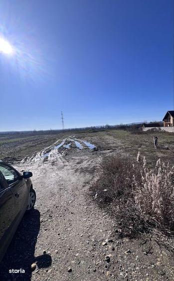 Teren de vanzare Moi, Rovinari - 2