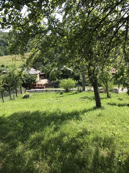 Teren de 1000 mp, în Băbana