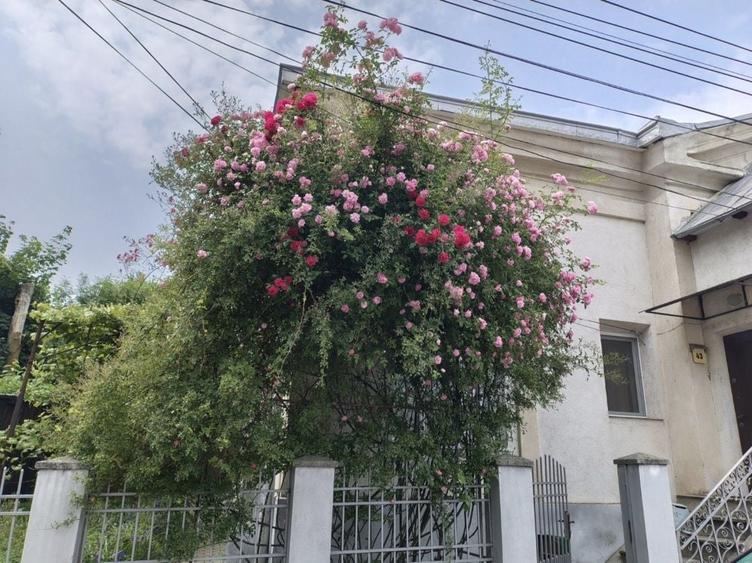 Casă cu 2 camere în Ultracentral