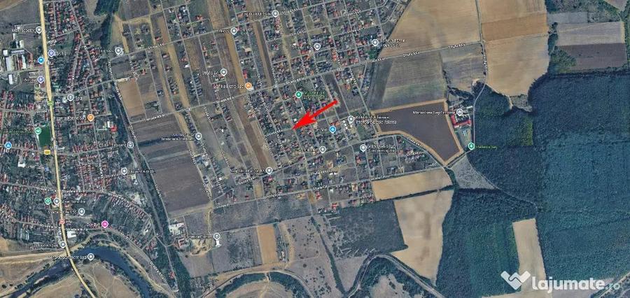 Vand teren 1600 mp in Sag-Manastire, toate utilitatile - Sag (Timis) - 5