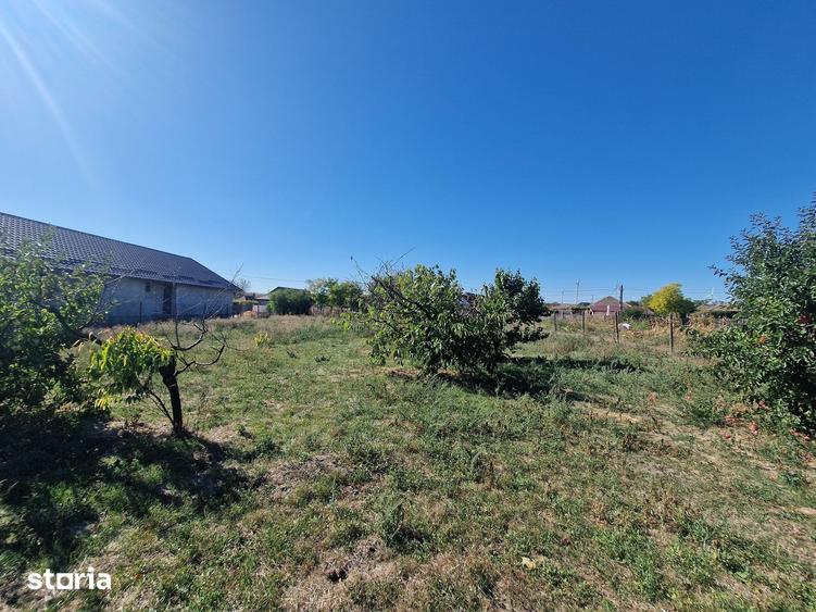 Teren de 1677 mp, în Cogealac