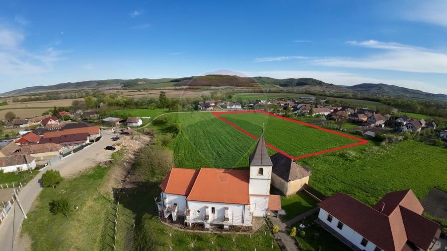 Teren agricol intravilan de 7342 mp, în Alma