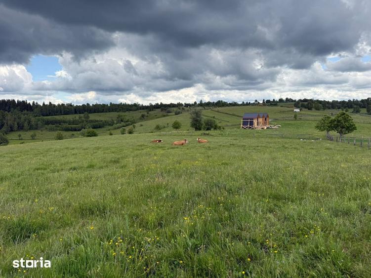 Teren de 13600 mp, în Mărișel