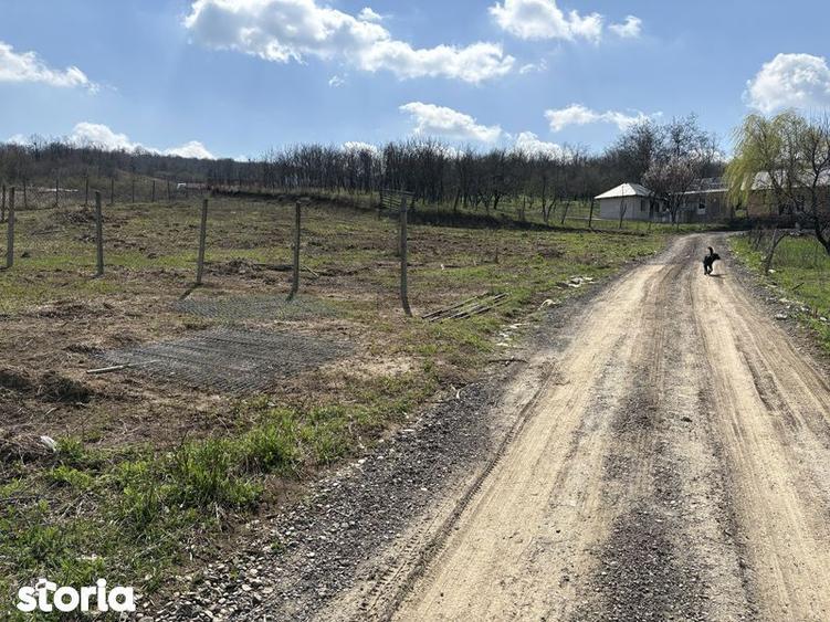 Teren de 700 mp, în Tomești