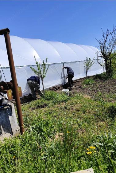 Casă cu 2 camere cu Teren 4200 Mp în Mozăceni