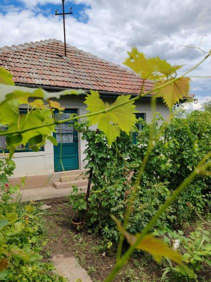 Casă cu 2 camere în Sărulești
