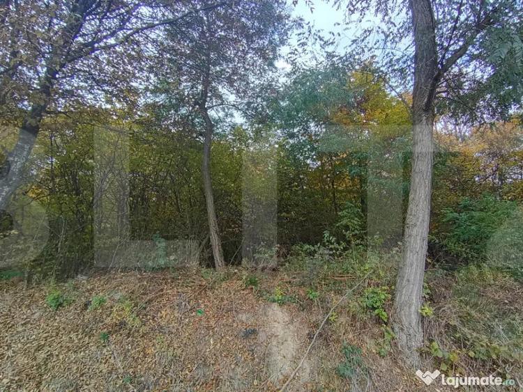 Teren de 1256 mp, în Ciurila