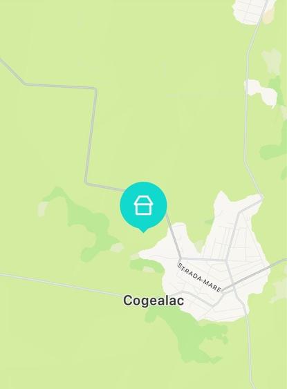 Teren de 100000 mp, în Cogealac
