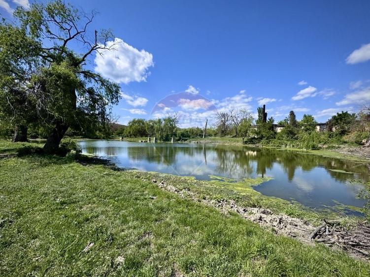 Proprietate specială, de 2,497 mp, în Central