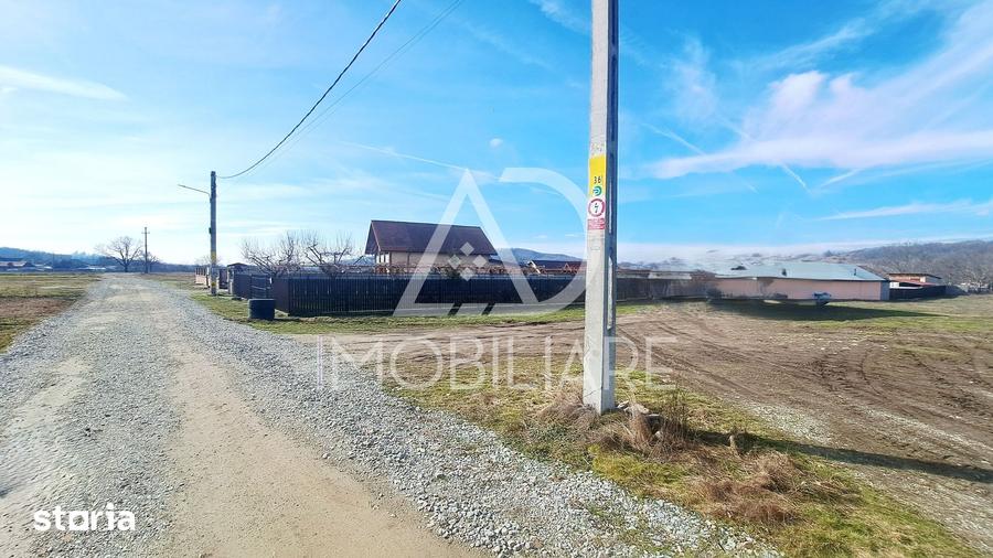 Teren de 3725 mp, în Bumbești-Pițic