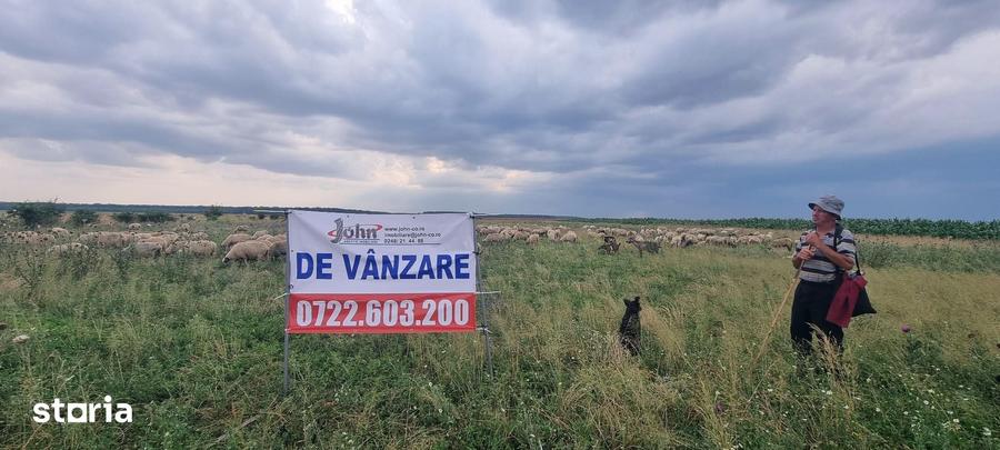 Teren de 10000 mp, în Rătești