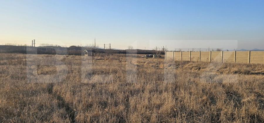 Teren Construcții intravilan de 1677 mp, în Vest