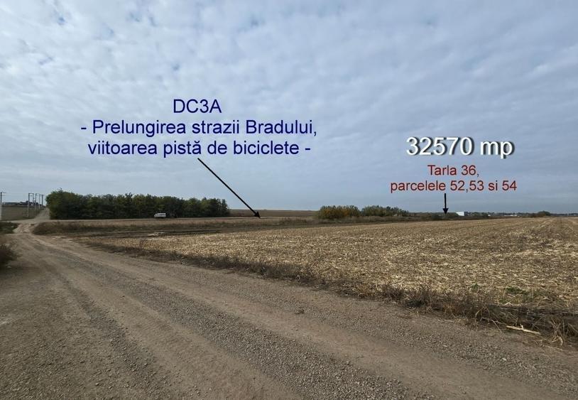 Teren agricol extravilan de 32570 mp, în Vânători