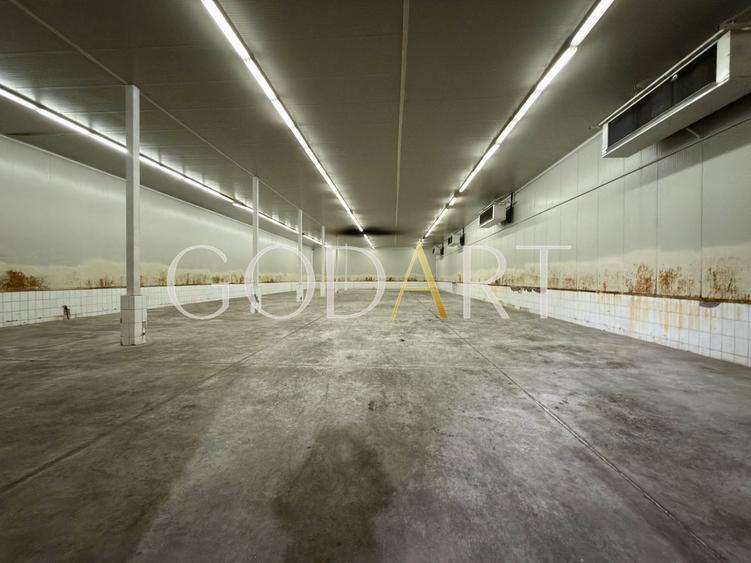 Spațiu industrial, de 4,000 mp, în Central