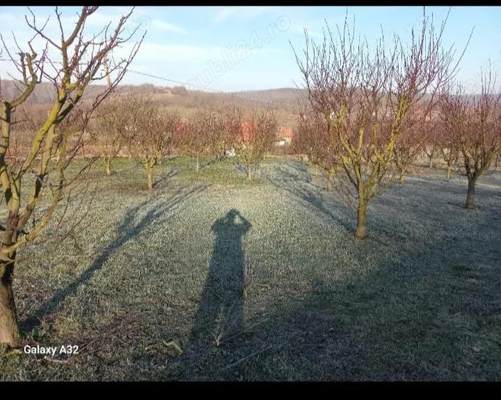 Casă cu Teren 1700 Mp în Crivobara