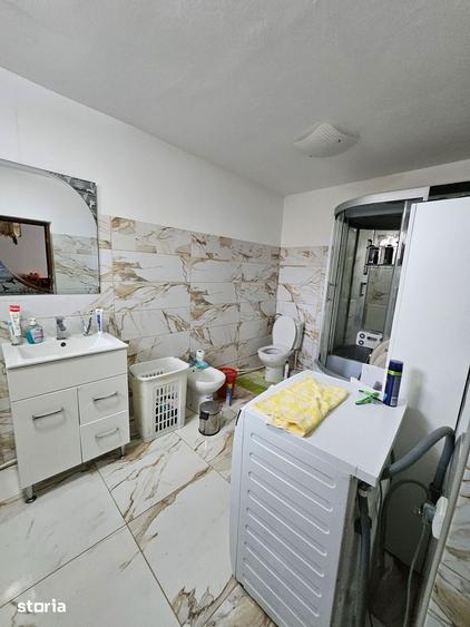 Casa cu 1566 mp teren in sat Mandruloc, com. Vladimirescu, jud. Arad - 3